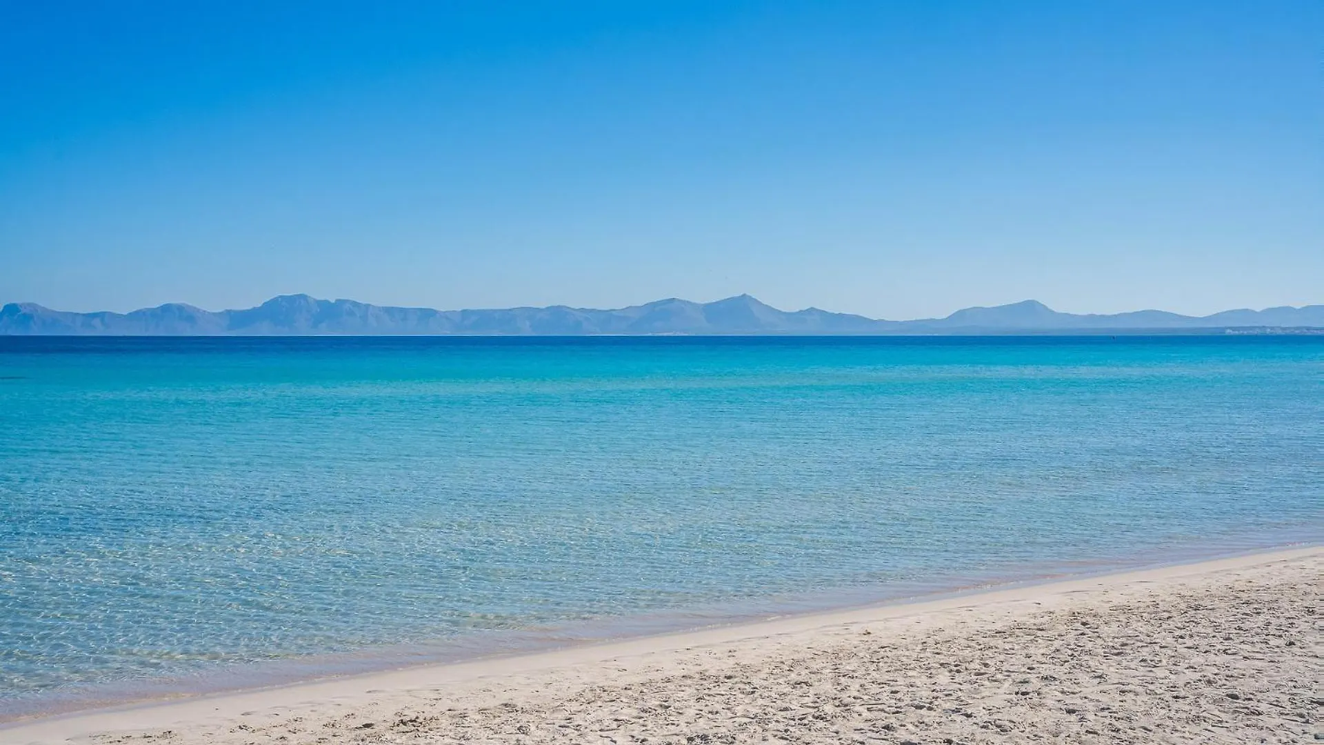 Ideal Property Mallorca - Mary 4 Pax Port de Alcudia  Spanje
