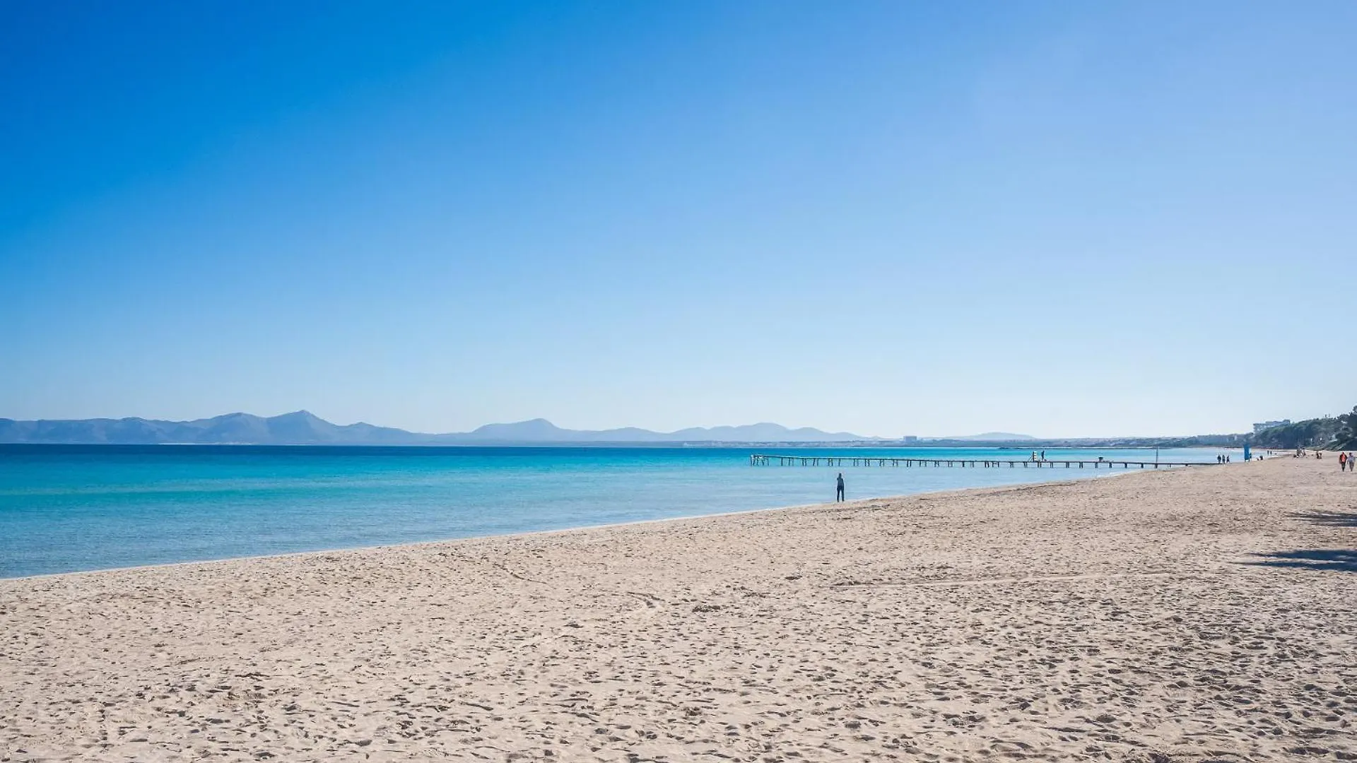 Appartement Ideal Property Mallorca - Mary 4 Pax Port de Alcudia  Spanje